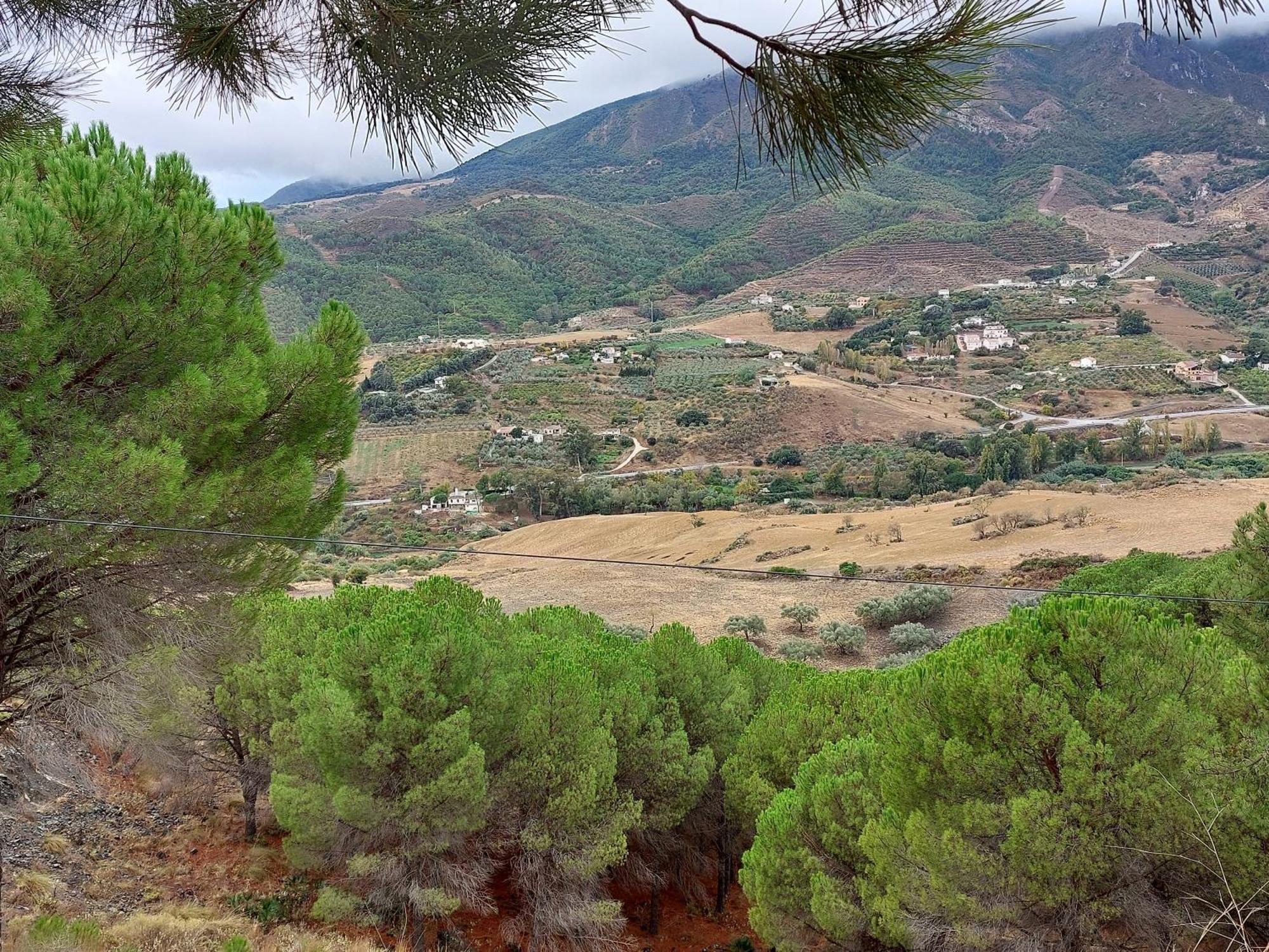 El Bufon De La Corte Carratraca Εξωτερικό φωτογραφία
