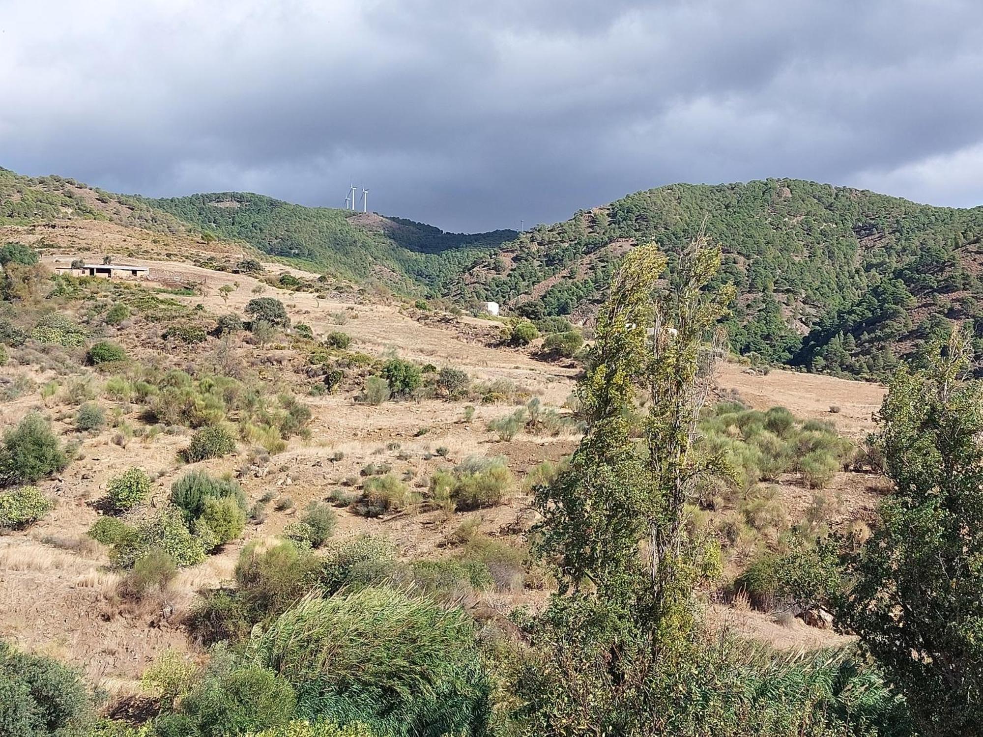 El Bufon De La Corte Carratraca Εξωτερικό φωτογραφία