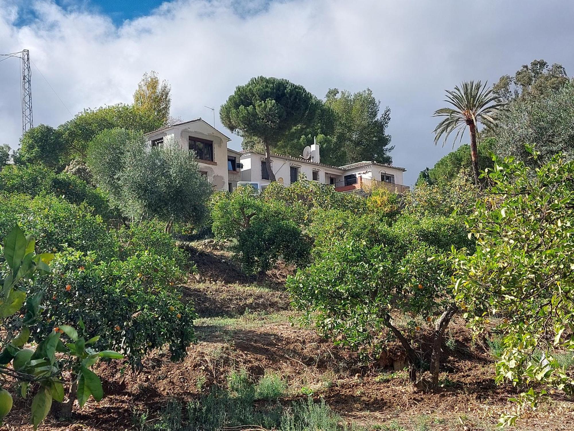 El Bufon De La Corte Carratraca Εξωτερικό φωτογραφία